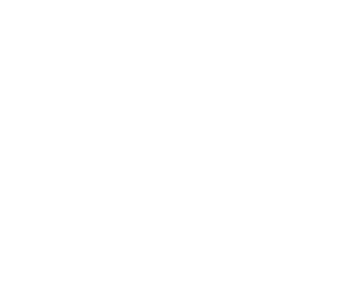 Elite Web Technology